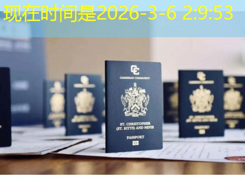 移民中介公司口碑：如何一眼识破“高分好评”背后的真相？